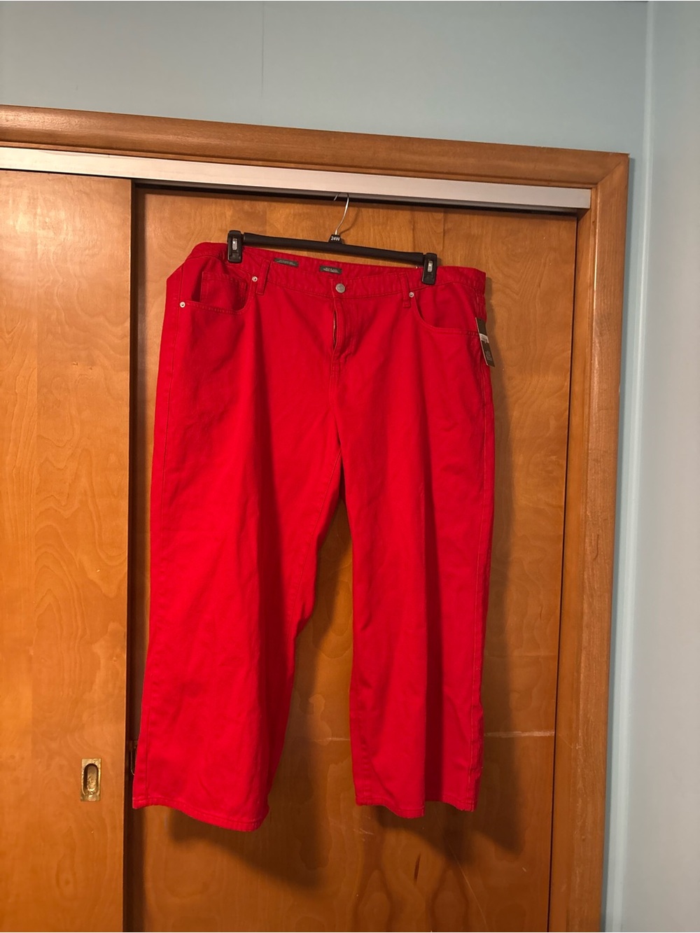 wild fable Red High-Rise Pants